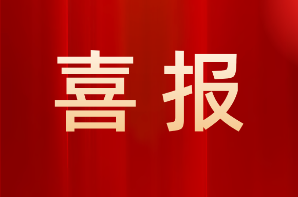 喜报！天津软协荣获2024年全国软件行业协会“先进集体”荣誉称号！
