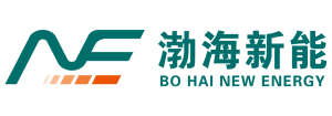 天津市渤海新能科技有限公司